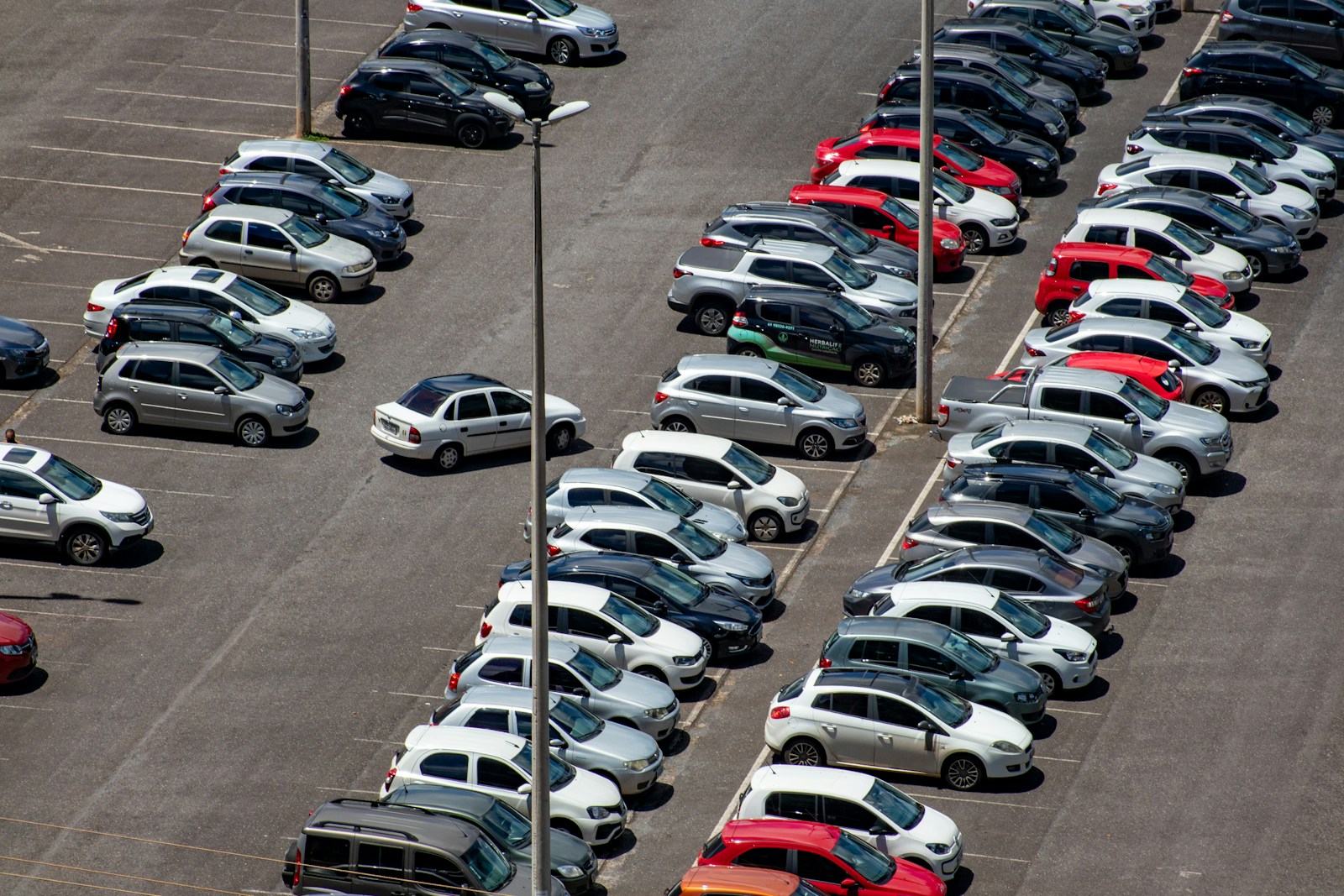Voitures garées dans des places de parking